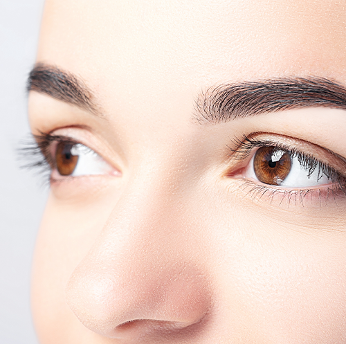 EYEBROW TRANSPLANTATION
